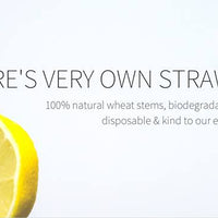 The Wheat Straw freeshipping - The Mason Bar Company
