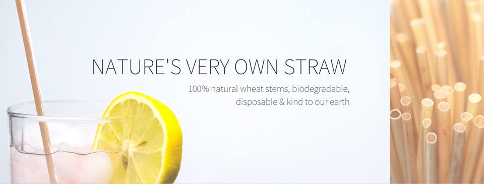 The Wheat Straw freeshipping - The Mason Bar Company